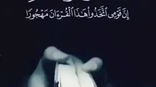 القرآن الكريم (4)