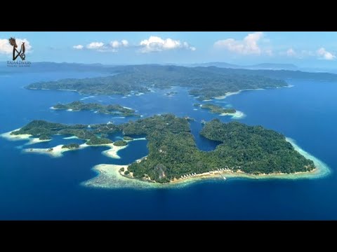 Welcome to Raja4Divers