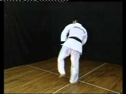 30 - Ushiro Geri