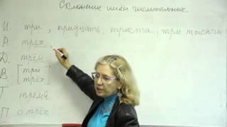 Русский язык. Склонение имен числительных