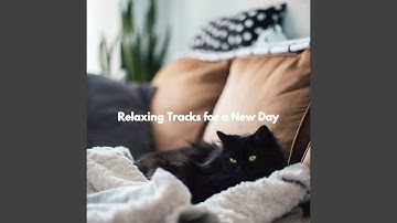 Tremendous Moods for Lazy Horizon