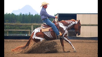 What is Horses Inside Out?