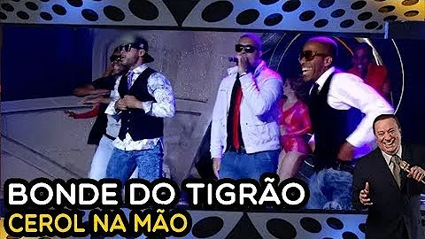 Em que ano surgiu o bonde do tigrão?