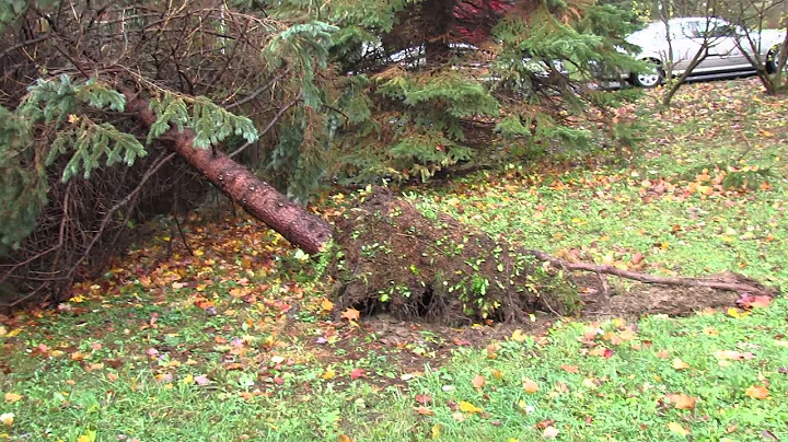 aftermath of hurricane sandy