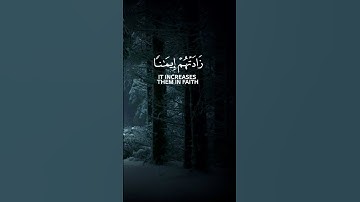 سورة الأنفال  الآية 02 بصوت القارئ محمد الفقيه