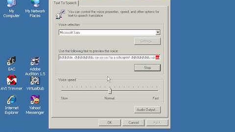 My ROFLcopter goes SWAH SWAH SWAH!