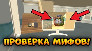 Радужного Кота Нашли?!? Проверка Мифов В Чикен Ган Chicken Gun #Чикенган #Маинкрафт #Chickengun