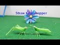 How to make a Grasshopper with a Straw