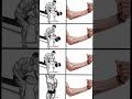 comment muscler vos biceps plus rapidement #shorts #ytshorts #bodytransformation