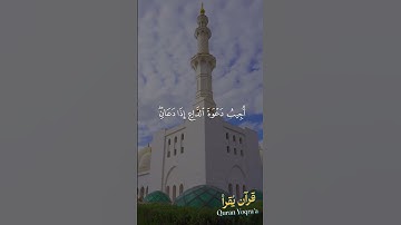 وإذا سألك عبادى عنى #سورة_البقرة #القرآن_الكريم #مشاري_العفاسي #اكسبلور #راحة_نفسية #لايك #تلاوات