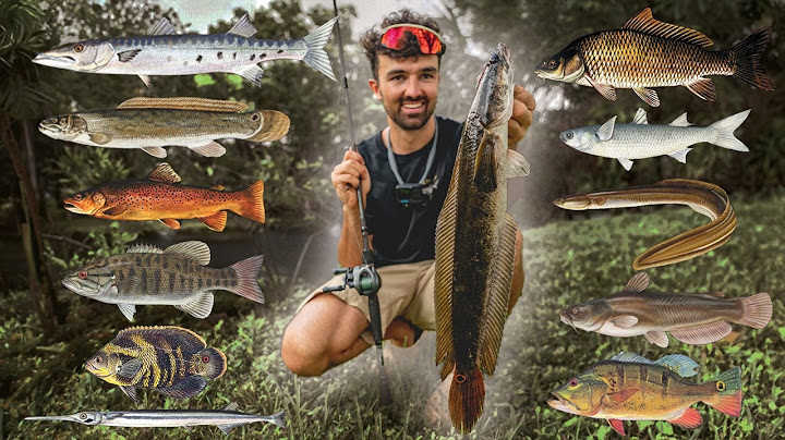 Wieviel fangen wir in 40 Tagen? 🇺🇸 XXL Fischarten Challenge (NON STOP FULL FILM)