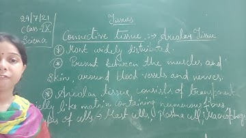 Class IX Science 24 07 2021 by Ms Mridulata upadhyay Tissues