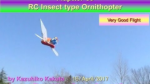 フラップター　Flaptter 50 :  Very Good Flight at park.