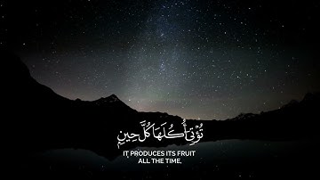 ألم تر كيف ضرب الله مثلا - عبدالعزيز العسيري (سورة إبراهيم)
