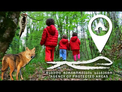 ლაშქრობა ლაგოდეხში - დღე პირველი