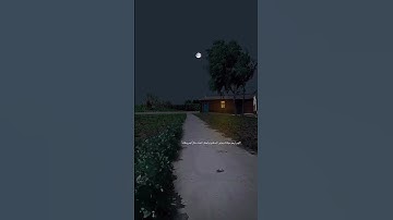 {فِي جَنَّةٍ عَالِيَةٍ () لَّا تَسْمَعُ فِيهَا لَاغِيَةً () فِيهَا عَيْنٌ جَارِيَةٌ ()} سورة الغاشية