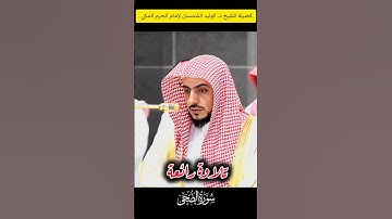 تلاوة رائعة لفضيلة الشيخ د. الوليد الشمسان لإمام الحرم المكي سورة الضحى #الوليد_الشمسان