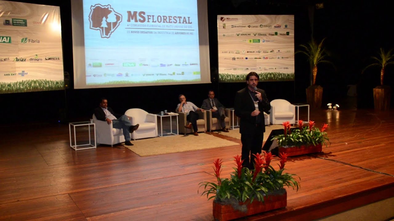MS FLORESTAL 2015 - melhores momentos do segundo dia