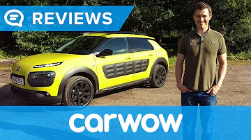 What is a C4 Cactus?