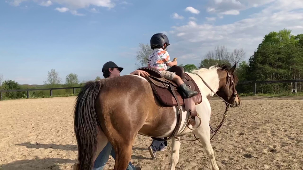 Riding horse YouTube