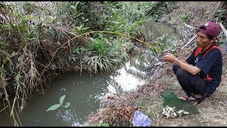 PARIT KECIL INI PENUH IKAN, SEKALI LEMPAR LANGSUNG DIMAKAN