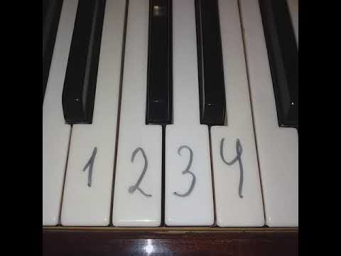 Video: Kako Enostavno Se Je Naučiti Samostojno Igrati Klavir?