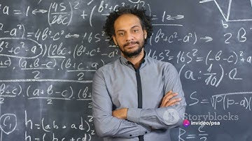 Decoding the Birch and Swinnerton-Dyer Conjecture