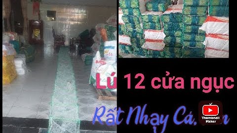 Cung cấp lú 12 cửa ngục lưới thái lan hôm cải tiến. Rất nhạy cá tôm. bền đẹp sử dụng trren 3 năm