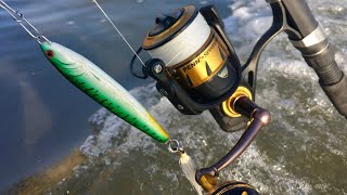 Penn Spinfisher VI Impressions and Lamiglass Insane Surf Review 