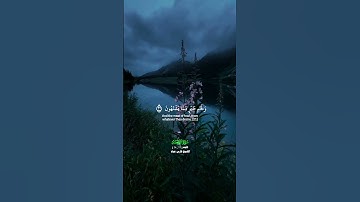 يطوف عليهم ولدان مخلدون _سورة الوقعة_تلاوة عذبة بصوت الشيخ فارس عباد_#quran #اكسبلور #المصحف