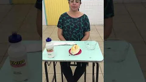 Como é chamado o bolo alimentar no estômago?