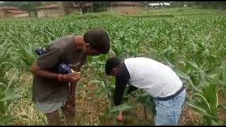 Perfect Cropscience Pvt Ltd