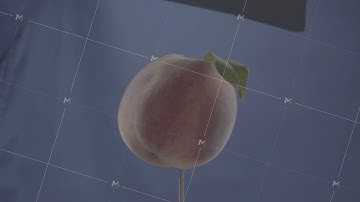 Peach rotating with loop on blue screen for chroma key