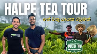 Halpe Tea Tour | තේ වතු යායක රවුමක් | A vlog by Sojje
