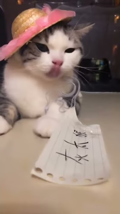 Wax Mao? Xiao Qi, is your Chinese a P.E. teacher????????????? - Best #TikTok Compilation