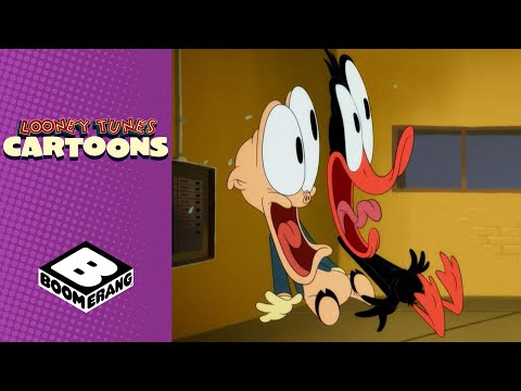 Lights Out! | Looney Tunes Cartoons | Boomerang UK