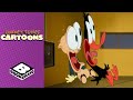 Lights Out! | Looney Tunes Cartoons | Boomerang UK