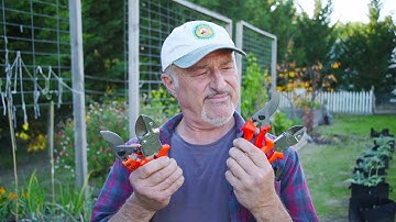 Anvil Vs Bypass Pruners (Secateurs)  - Which Is Best?