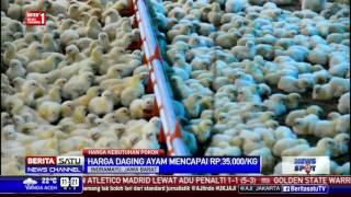 DIJUAL KANDANG AYAM BROILER (PEDAGING) AKTIF DI SLUMBUNG BLITAR. 