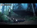 No Time To Die 4K HDR Forest Fight Scene No Time To Die 4K HDR Forest Fight Scene