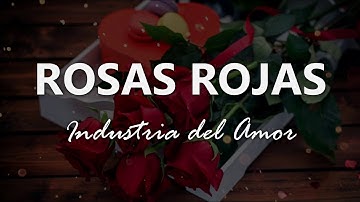 Industria del Amor - Rosas Rojas - Letra