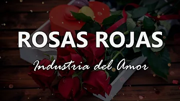 Industria del Amor - Rosas Rojas - Letra