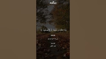 القرآن الكريم #اكسبلور #quran #المصحف #explore #islamicscripture #qurankarim #الرحمن
