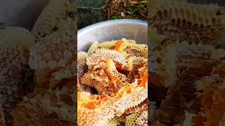 Removed Honey Comb From Ny Top Hive