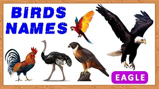 Birds  Name | Learn Birds Name And Sound | A to Z Birds Name screenshot 5
