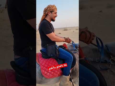 هلا بالعشق والبلوى