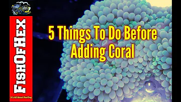 Do corals produce waste?