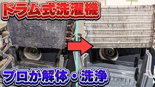 ドラム式洗濯機クリーニング、プロのお掃除#ドラム式洗濯機
