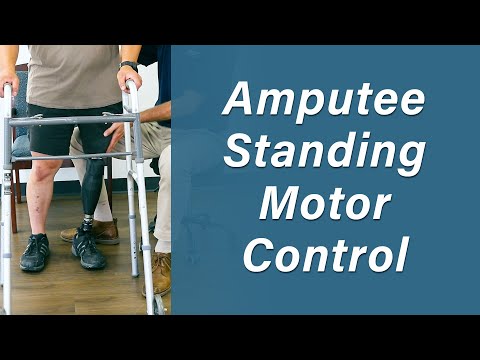 Standing Balance and Control for Amputees