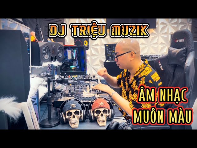 [LIVESTREAM] - ÂM NHẠC MUÔN MÀU - DJ TRIỆU MUZIK (DEMO) class=